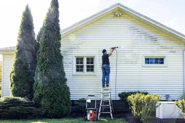 Best Driveway Pressure Washing  in Webb City, MO